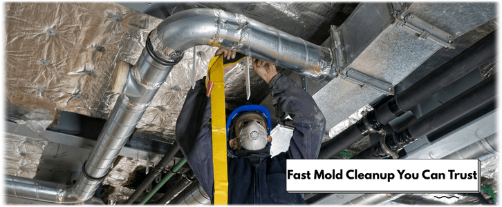 Air Duct Mold Removal in Riverside