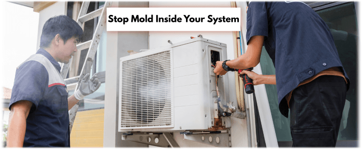 HVAC Mold Removal Riverside
